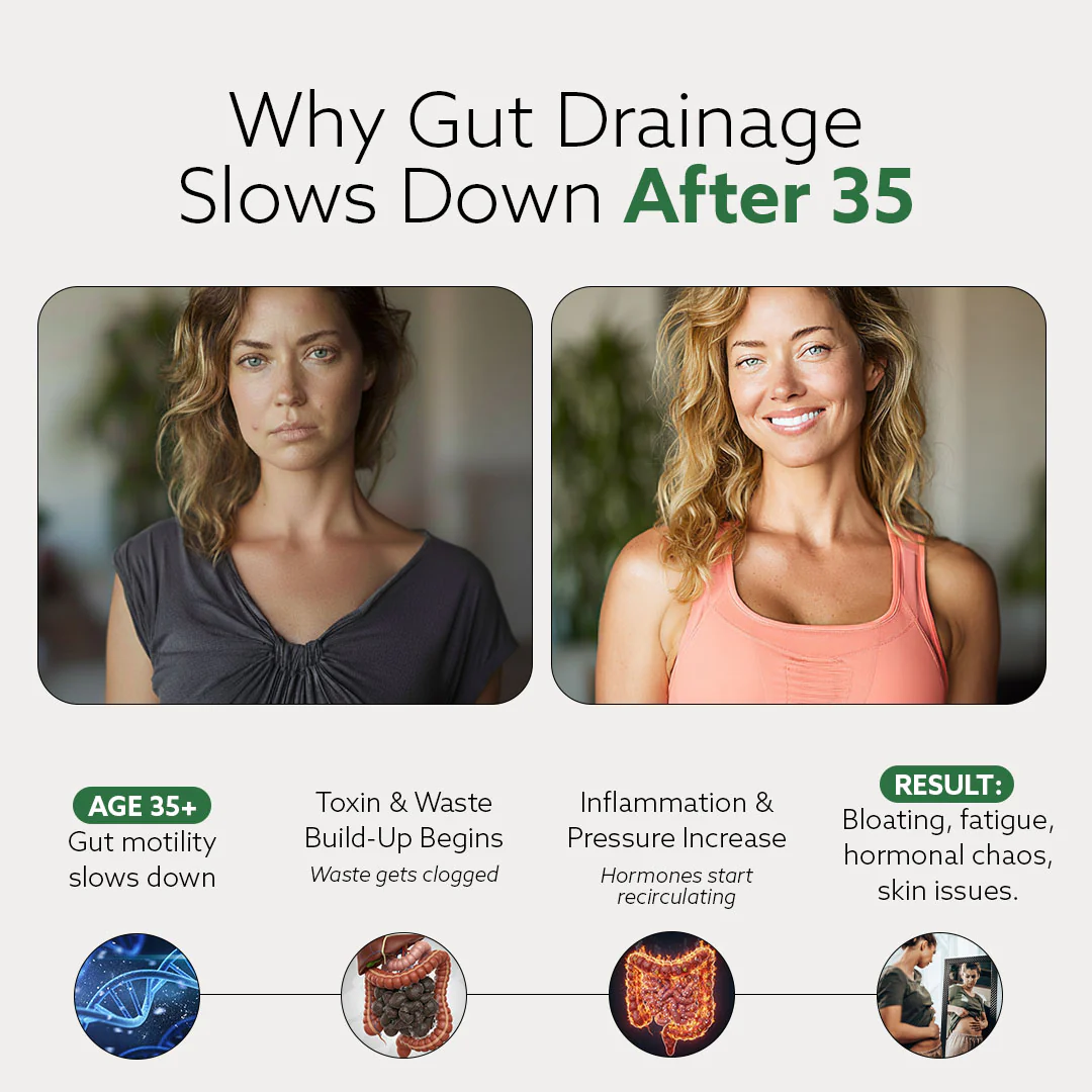 GutCore – Maximum Potency Gut Drainage Complex by Sequente™ - Image 3