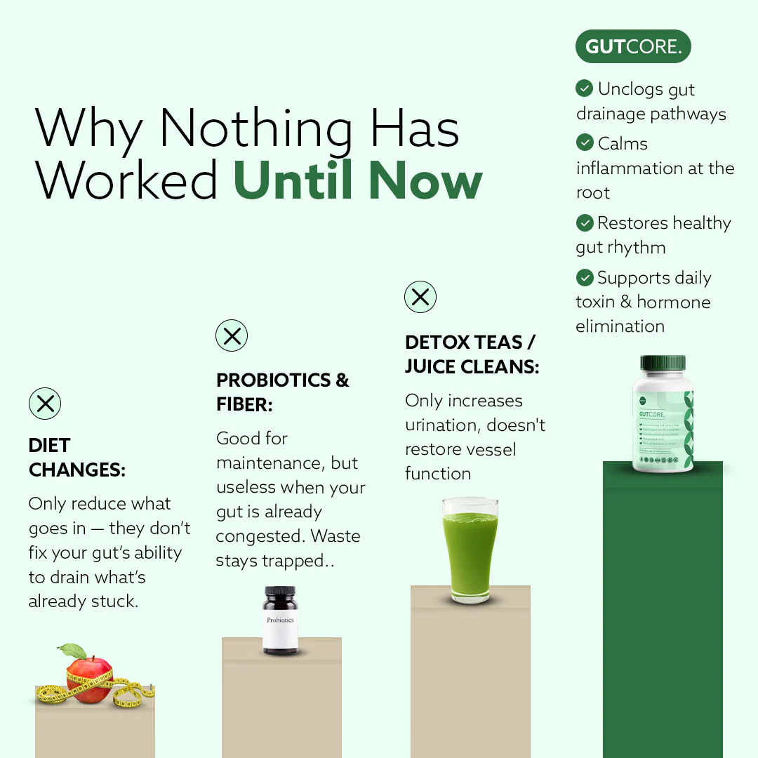 GutCore – Maximum Potency Gut Drainage Complex by Sequente™ - Image 5