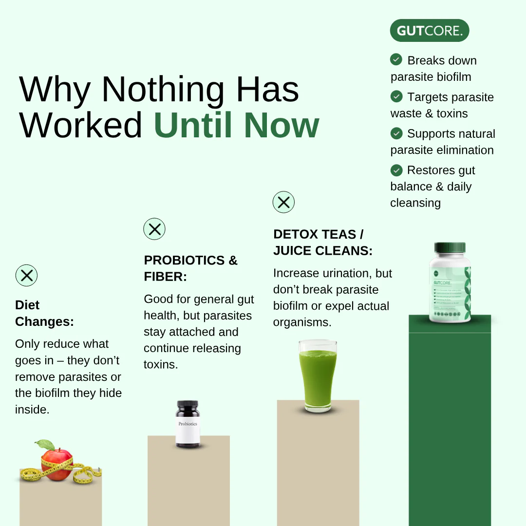 GutCore - Maximum Potency Gut Parasite Drainage Complex by Sequente™ - Image 5