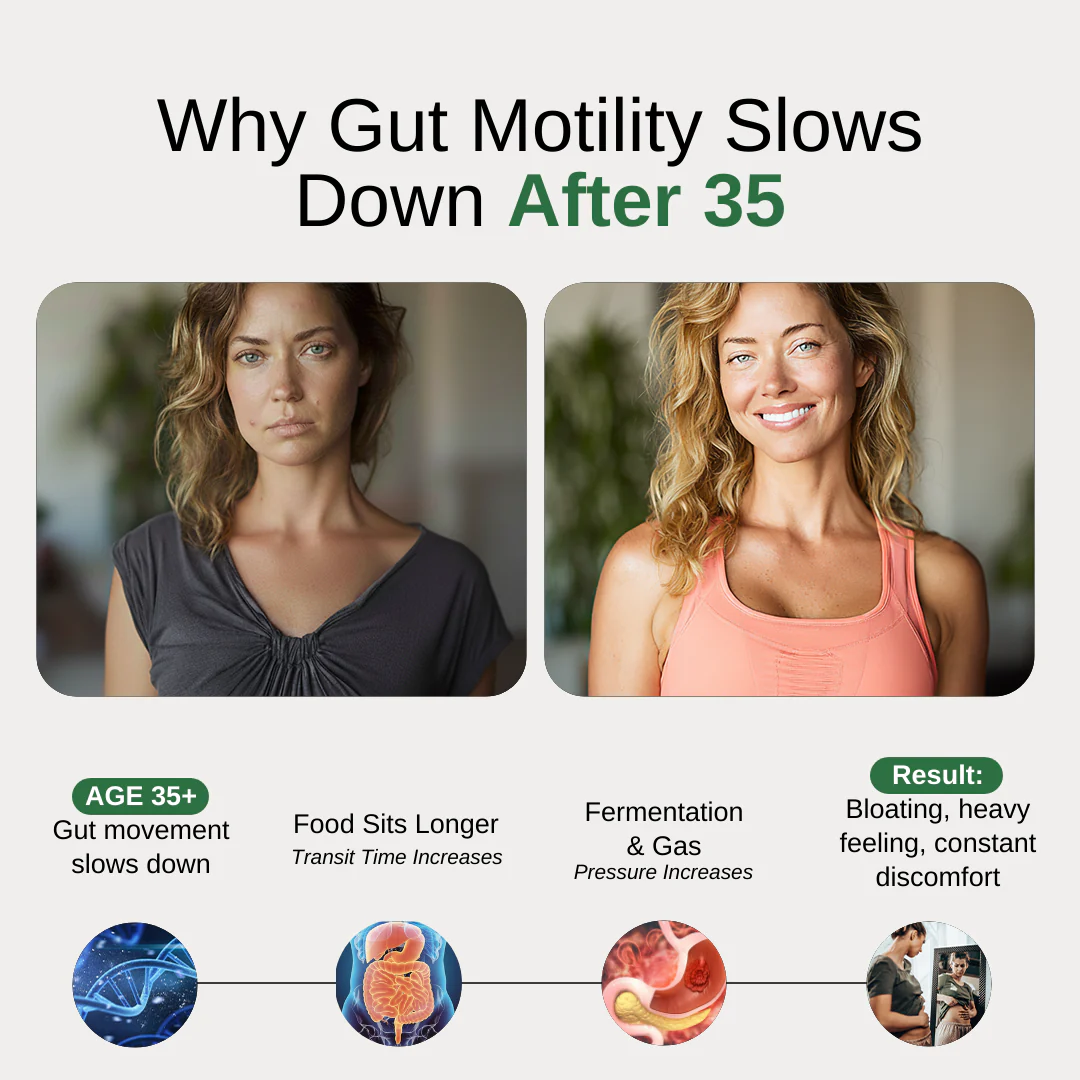 GutCore - Maximum Potency Gut Motility Complex by Sequente™ - Image 3