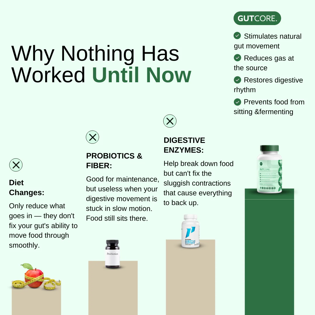 GutCore - Maximum Potency Gut Motility Complex by Sequente™ - Image 5